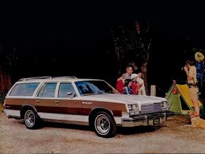 Buick Estate Wagon 1979 года
